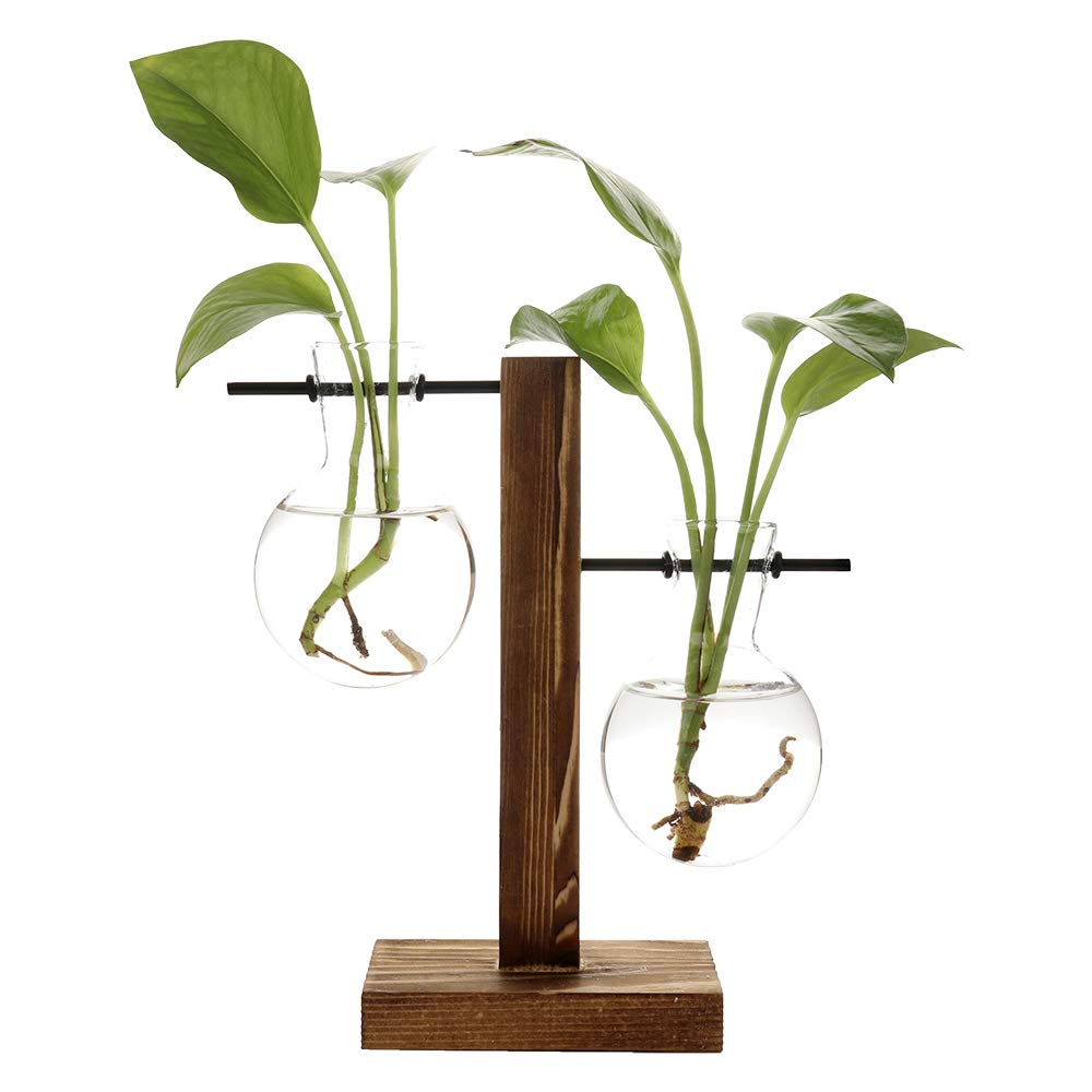 Creative Glass Desktop Planter Bulb Vase Wooden Stand Hydroponic Plant Container Home Tabletop Decor Vases